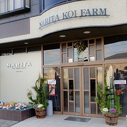 De persoonlijkheid Narita: afbeelding 5