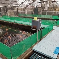 De persoonlijkheid Narita: afbeelding 7