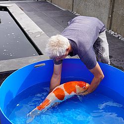 De plicht roept ook op zondag: afbeelding 13