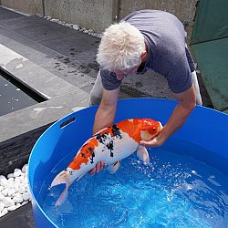 De plicht roept ook op zondag: afbeelding 14