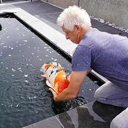 De plicht roept ook op zondag: afbeelding 16