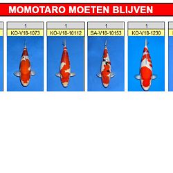 De regeltjes veranderen weer: afbeelding 1