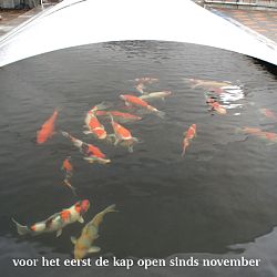 De Rudy was tevreden: afbeelding 6