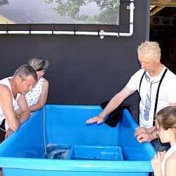 De rustdag is voorbij: afbeelding 2