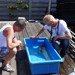 De rustdag is voorbij: afbeelding 3