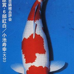 De Shinkokai All Japan Show: afbeelding 2