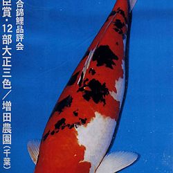 De Shinkokai All Japan Show: afbeelding 4