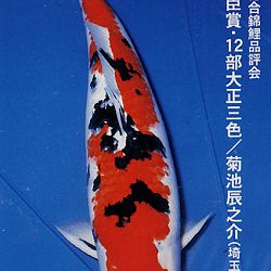 De Shinkokai All Japan Show: afbeelding 5