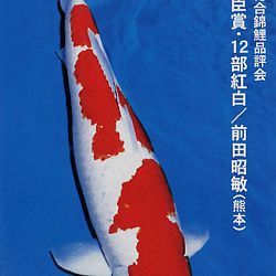 De Shinkokai All Japan Show: afbeelding 6