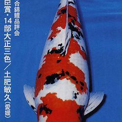 De Shinkokai All Japan Show: afbeelding 13