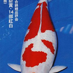 De Shinkokai All Japan Show: afbeelding 14