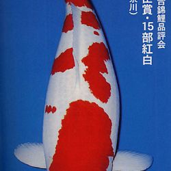 De Shinkokai All Japan Show: afbeelding 18
