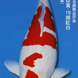 De Shinkokai All Japan Show: afbeelding 21