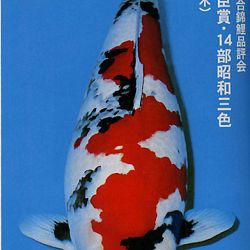 De Shinkokai All Japan Show: afbeelding 22