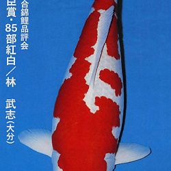 De Shinkokai All Japan Show: afbeelding 27