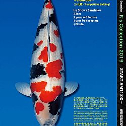 De Super R-Collectie: afbeelding 3