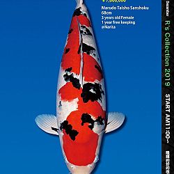De Super R-Collectie: afbeelding 4