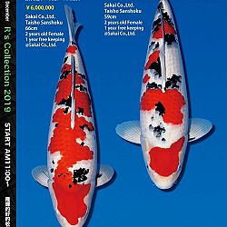 De Super R-Collectie: afbeelding 6