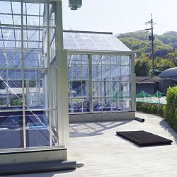 De Taniguchi Story: afbeelding 10