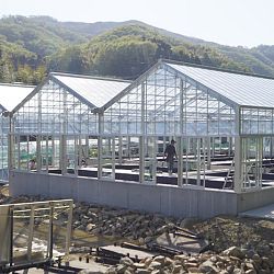 De Taniguchi Story: afbeelding 13