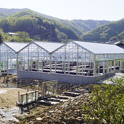 De Taniguchi Story: afbeelding 14