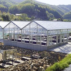 De Taniguchi Story: afbeelding 15