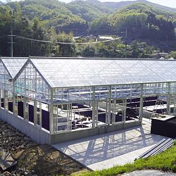 De Taniguchi Story: afbeelding 16