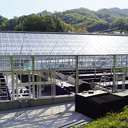 De Taniguchi Story: afbeelding 17