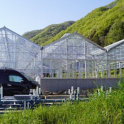 De Taniguchi Story: afbeelding 24