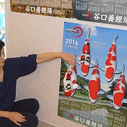 De Taniguchi Story: afbeelding 25