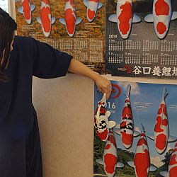 De Taniguchi Story: afbeelding 26