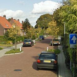 De vijver van Arjan: afbeelding 1