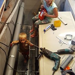 De vijver van David: afbeelding 8