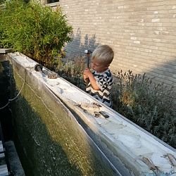 De vijver van David: afbeelding 12