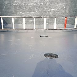De vijver van David: afbeelding 38