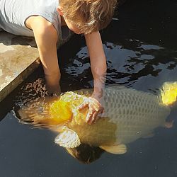 De vijver van Frank: afbeelding 1