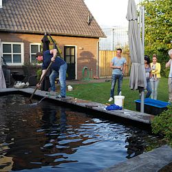 De vijver van Frans en Ans: afbeelding 6
