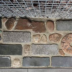 De vijver van Niels: afbeelding 12