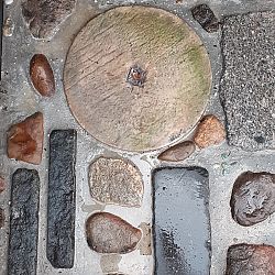De vijver van Niels: afbeelding 19
