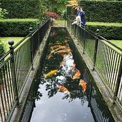 De vijver van Philip: afbeelding 2