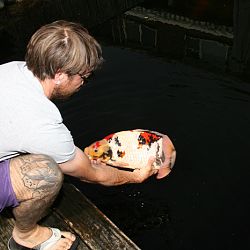De vijver van Rudie: afbeelding 4