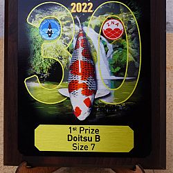 De winnende doitsu B size 7: afbeelding 1