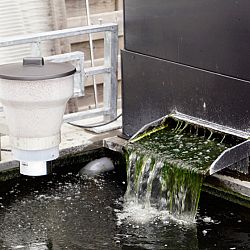 De Xclear voederautomaat en de T- van Tancho: afbeelding 6