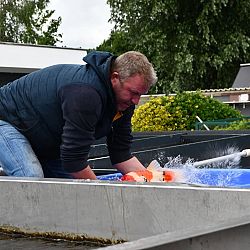 De Young Holland Koi Show nadert in een snel tempo: afbeelding 6