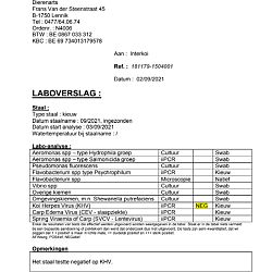Deel 4 van de reeks: afbeelding 1