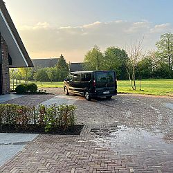 Diverse koi vonden dit weekend een nieuwe eigenaar: afbeelding 2