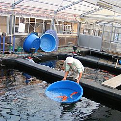 Drukker dan verwacht: afbeelding 4