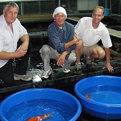 Drukker dan verwacht: afbeelding 1