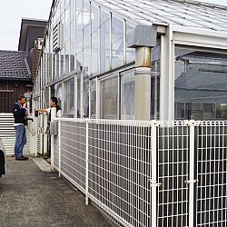 Een bewogen dagje: afbeelding 10