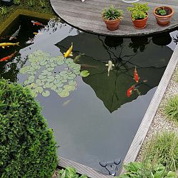 Een dag die voldoening schenkt: afbeelding 2